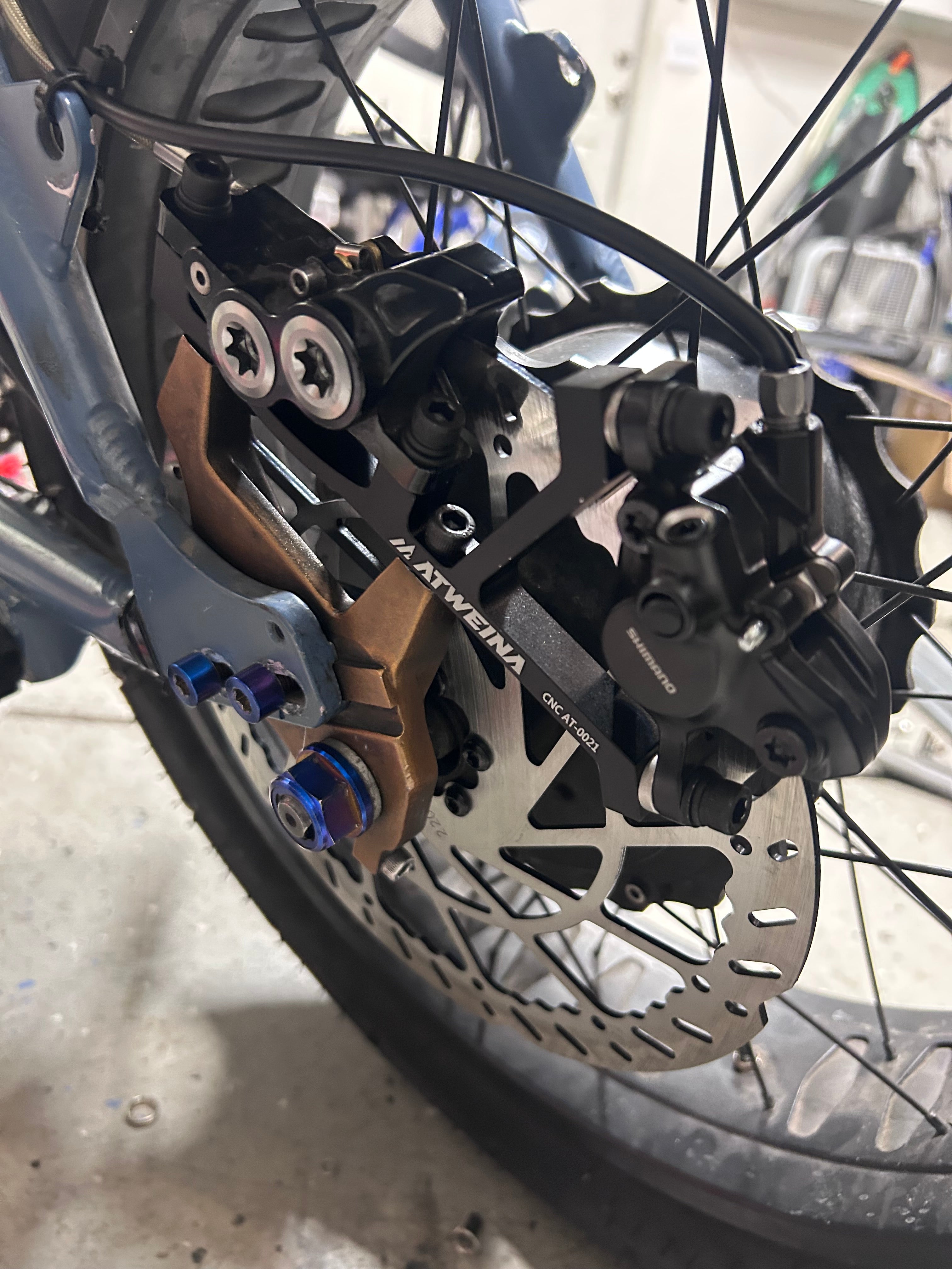 Dual caliper ebike mount