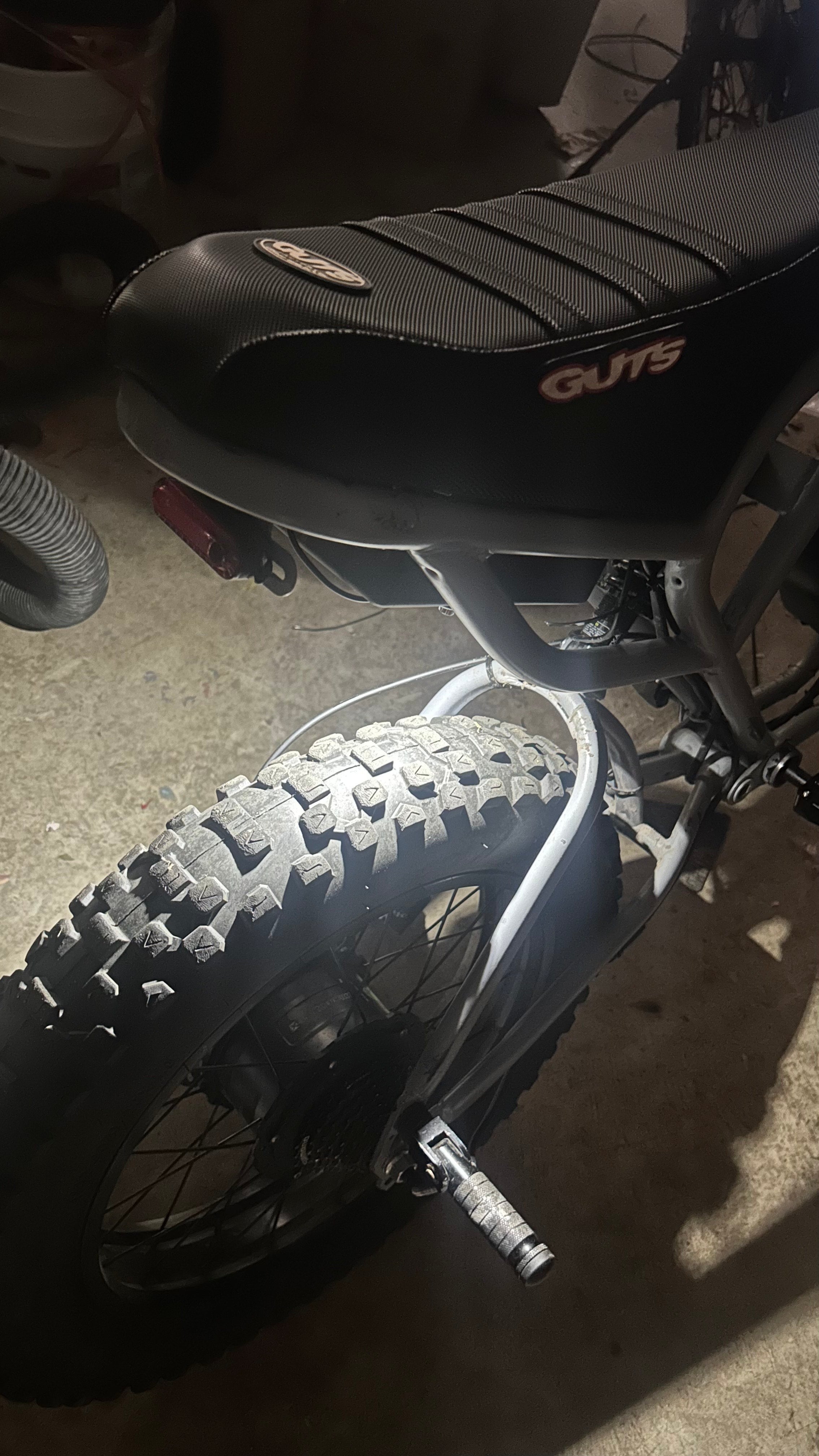 Ridstar plug and play rock light